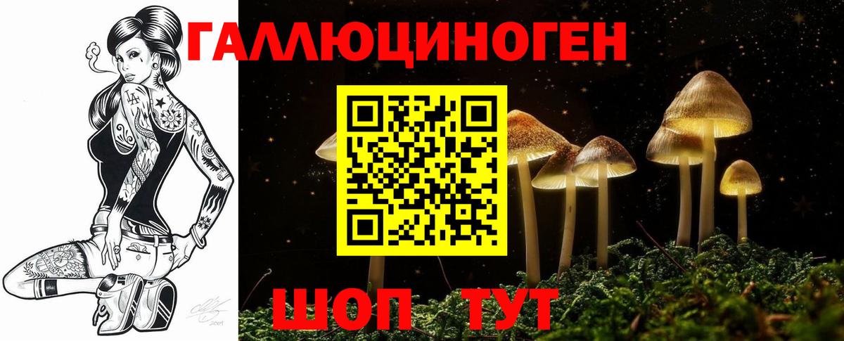 Галлюциногенные грибы Psilocybe  Вход с VPN  Калуга  Псилоцибиновые грибы Psilocybe 